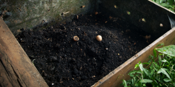 composting bin with recycling